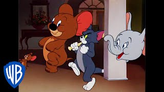 Tom & Jerry in italiano | Jerry e Jumbo Si Alleano 