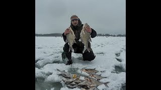 Ловля леща и подлещика на черта можайка 2019