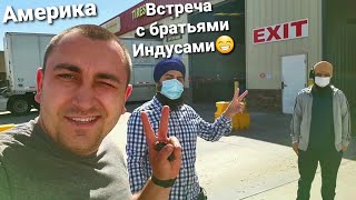 Америка цены космос 4 яйца за 3,99$ Дальнобой по США Калифорния