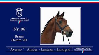 Holsteiner Körlot 2018 | Nr. 6 - AVERNO v. Amber - Lantaan