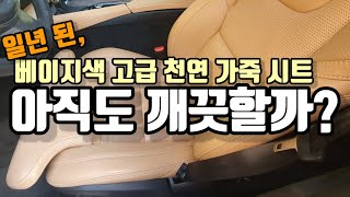 일 년 된 베이지 가죽 시트 상태, 가죽 시트 오염 이염 확인, 밝은 베이지 나파 가죽 오염 상태, 밝은 가죽 시트, 베이지 가죽 시트, 화이트 가죽 시트, 볼보 가죽 시트 오염