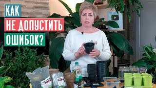 СЕЗОН 2020: ТАРА ДЛЯ ПОСАДКИ, улучшаем состав торфяных таблеток УСЛОВИЯ РОЗЫГРЫША / Садовый гид