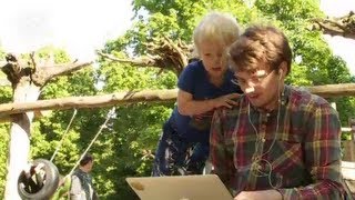 Babbel - мовна програма як успішний бізнес