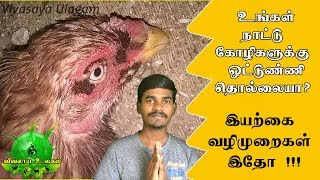Cure country hens parasites by natural way / உங்கள் நாட்டுக்கோழிகளுக்கு இதுபோன்ற  ஒட்டுண்ணி தொல்லையா