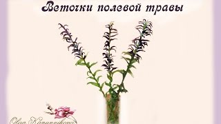 Веточки полевой травы для интерьерных композиций