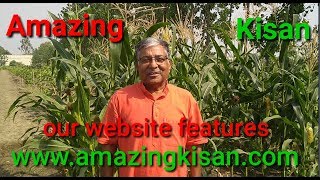अमेजिंग किसान वेबसाइट के फायदे जानिए #AmazingKisan