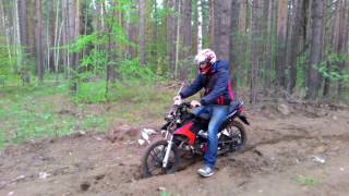 Покатушки в лесу на Storm Indigo