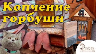 Коптильня холодного и горячего копчения Drevos