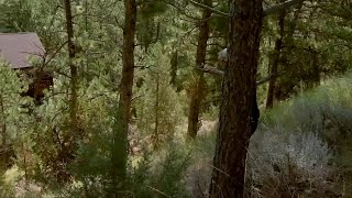 Lockwood firefighters offer home-protection tips during fire season