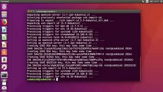 How to Enable SSH in Ubuntu 18.04 LTS / Ubuntu 16.04  (Install openssh-server)