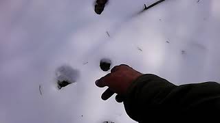 Unknown footprints found in the snow
