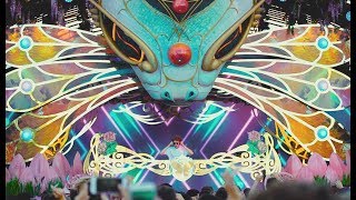 Tomorrowland presents Dimitri Vegas & Like Mike's "Garden Of Madness" at Ushuaïa Ibiza Recap Week 1