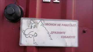 ЧУДЕСА ЭЛЕКТРОГРЯДКИ ПОЧЕЕВСКОГО!