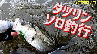 【シーバス】用事終わりにどうにか釣れた！