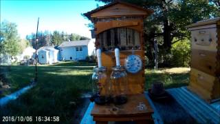 Flow Hive Honey Extraction in NY