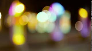Pexels Videos 1672800
