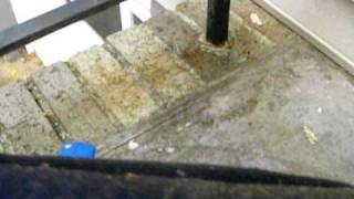 Ways to kill stink bugs! Multiple ways to kill stink bugs. Easy.