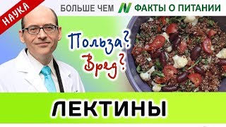 1385.Лектины в продуктах - полезны или вредны? | Больше чем ФАКТЫ О ПИТАНИИ - Майкл Грегер