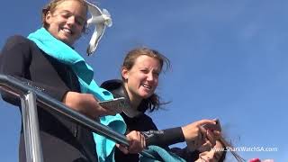 Pocklington School - Shark Diving Experience 1