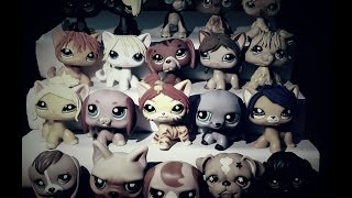 Lps сериал ИОН 1 серия (История одной неудачницы)