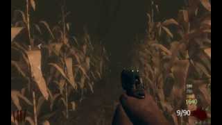 Call of duty Black ops 2 nach der untoten secret (easter egg , zombie tranzit)