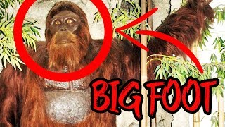 SHOT IN THE DARK - Finding Bigfoot Gameplay