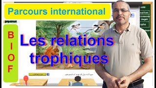 les relations trophiques dans le milieu naturel