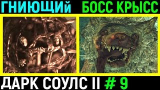 #9 Боссы Гниющий и командир крысиной гвардии Dark Souls 2