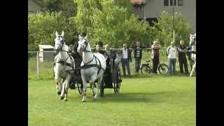 Fijakerijada Belegis 2012 - Pansion za konje Mirela.vob