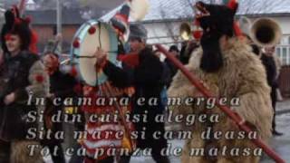plugusorul