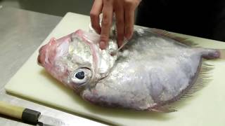 Sushi and sushimi filleting masterclass - Kota Ogawa