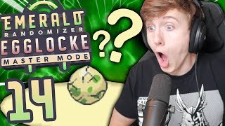 AMAZING EGG HATCH!! | Pokemon Emerald Randomizer Egglocke EP 14 [Master Mode]