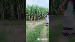Xnxx video