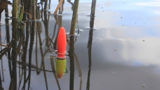 Рыба проснулась! Попал на жор с поплавком! Весенняя рыбалка!