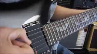 PRS Paul Allender demo.