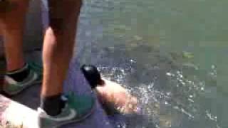 The G Master - jump 2