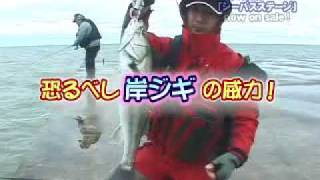 岸ジギでシーバス連発!! ｉｎ酒田離岸堤