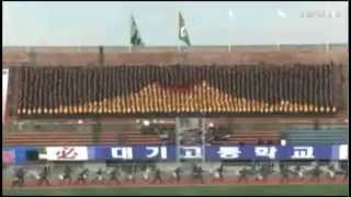 Choreographed Korean soccer fans create "Human Jumbotron"
