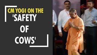 Deshhit: CM Yogi once again stressed on the 'safety of cows'