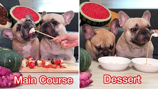 DOG FOOD REVIEW ASMR| Join us for our main course and dessert