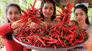 Cooking chili sauce with chicken wing recipe - Natural Life TV