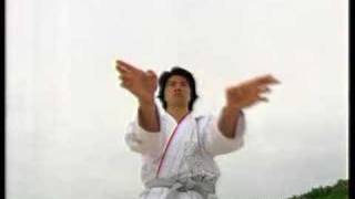 Martial arts, Okinawa Karate