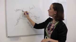 Vocabulary - Mind-maps