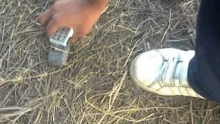 Rompiendo nokia 1100