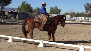 Xander & Robin Bond - Dressage Intermediate B - PepperGlen Farm Working Equitation Show