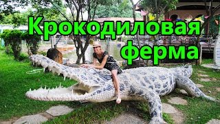ОХОТА НА КРОКОДИЛОВ Crocodile farm, The HUNT for CROCODILES