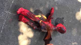 she burned my cock