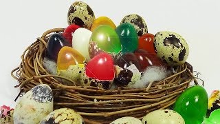 ToyCheff Make Colorful Jelly Quail egg Using Really Eggshell 다양한 칼라 젤리 메추리알 계란 쵸콜릿 만들기 장난감
