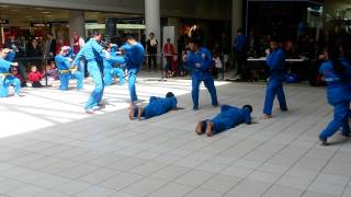 VOVINAM at Imagin ASIAN 2015
