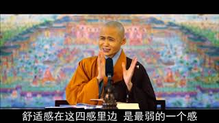 净土宗微谈 | 人生幸福指导—念佛法门